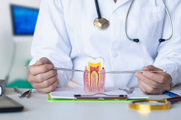 Best Emergency Dental Care for Broken or Chipped Teeth in Kingston, OK